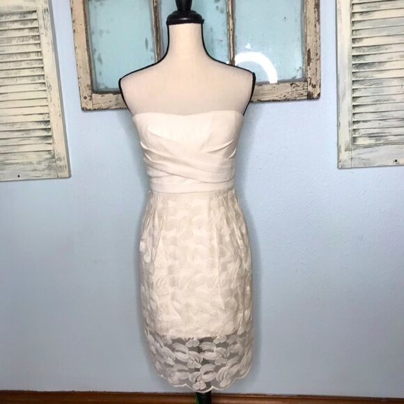 Gorgeous BCBGMAXAZRIA Strapless Dress - Picture 9 of 16